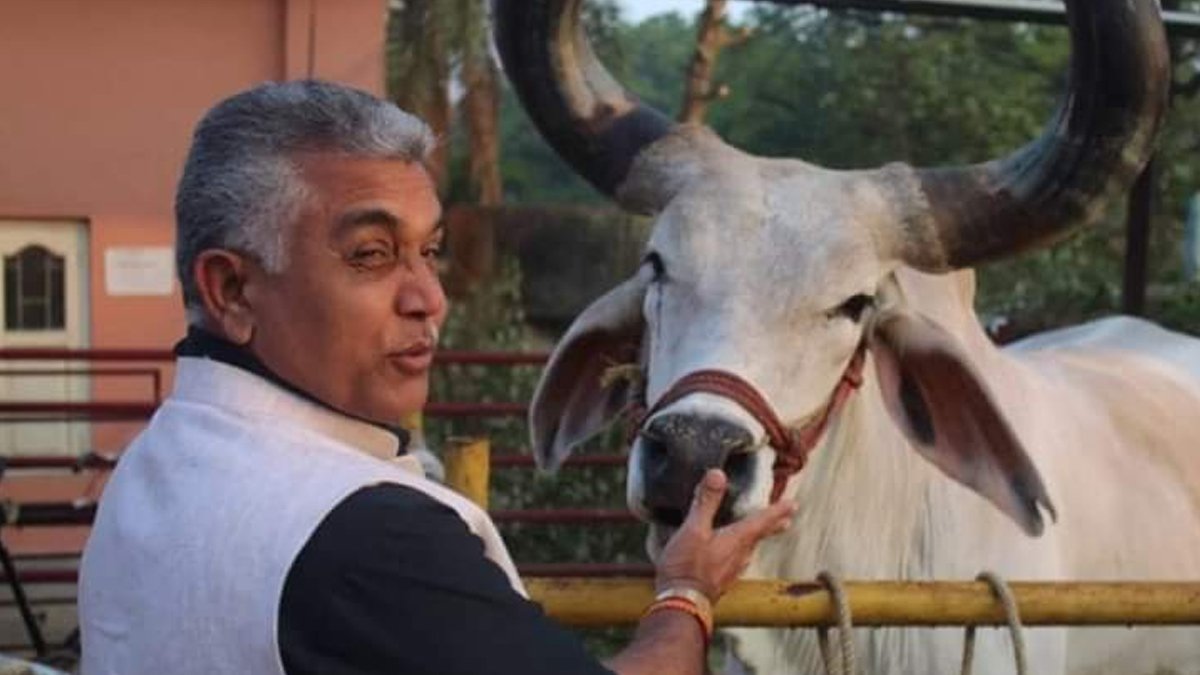 Dilip Ghosh Sparks Row Again With Claim That Petting Cows Can Reduce Blood Pressure
