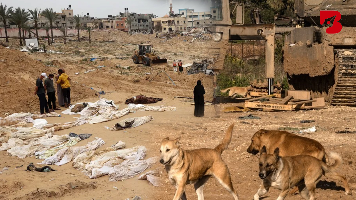 Gaja attack isreal Ongoing Conflict in Gaza: Thousands Dead and Injured, Stray Dogs Eating Bodies in Streets!
