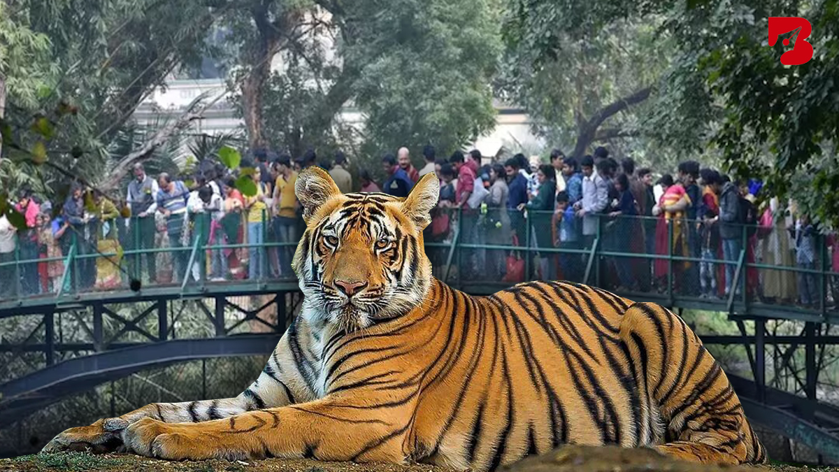 Alipoor Zoo 2 Step Into the Cage! Alipore Zoo Offers a Unique Winter Experience with Birds