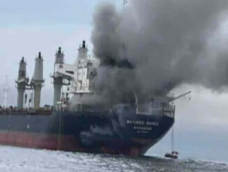 Ship Bound for Gujarat Attacked Near Strait of Hormuz, 20 Rescued as 3 Remain Trapped