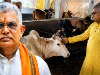 Dilip Ghosh Sparks Row Again With Claim That Petting Cows Can Reduce Blood Pressure